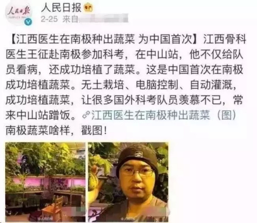 中国丈母娘把洋女婿家的花园变成菜地 中国人的种菜技能 种菜