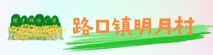 41e02fb1c40524f75612b2c00df7a695@100Q_680w