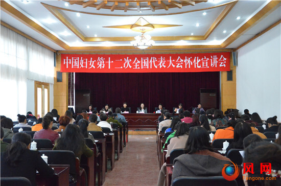 中国妇女第十二次全国代表大会 十二大 妇代会